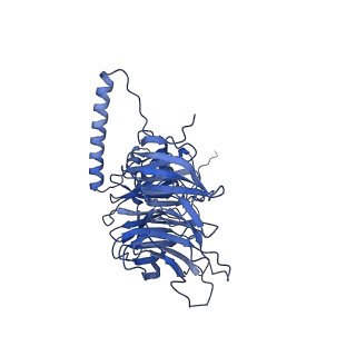 11808_7aju_JP_v1-1
Cryo-EM structure of the 90S-exosome super-complex (state Post-A1-exosome)