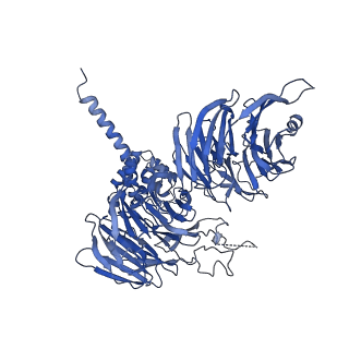11808_7aju_UA_v1-1
Cryo-EM structure of the 90S-exosome super-complex (state Post-A1-exosome)