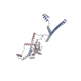 11808_7aju_UB_v1-1
Cryo-EM structure of the 90S-exosome super-complex (state Post-A1-exosome)