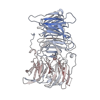11808_7aju_UD_v1-1
Cryo-EM structure of the 90S-exosome super-complex (state Post-A1-exosome)