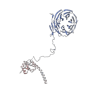 11808_7aju_UE_v1-1
Cryo-EM structure of the 90S-exosome super-complex (state Post-A1-exosome)