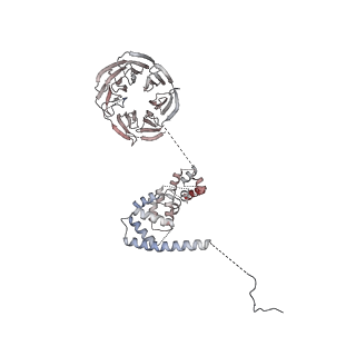 11808_7aju_UH_v1-1
Cryo-EM structure of the 90S-exosome super-complex (state Post-A1-exosome)