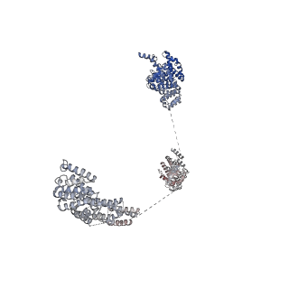 11808_7aju_UJ_v1-1
Cryo-EM structure of the 90S-exosome super-complex (state Post-A1-exosome)