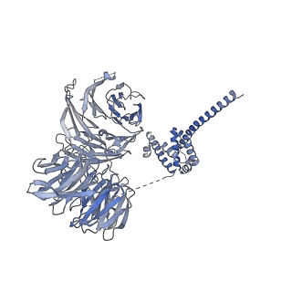 11808_7aju_UL_v1-1
Cryo-EM structure of the 90S-exosome super-complex (state Post-A1-exosome)