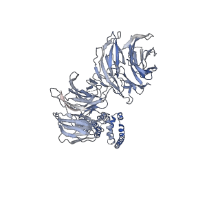 11808_7aju_UM_v1-1
Cryo-EM structure of the 90S-exosome super-complex (state Post-A1-exosome)