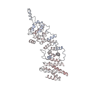 11808_7aju_US_v1-1
Cryo-EM structure of the 90S-exosome super-complex (state Post-A1-exosome)