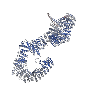 11808_7aju_UT_v1-1
Cryo-EM structure of the 90S-exosome super-complex (state Post-A1-exosome)