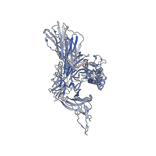 15475_8aja_A_v1-2
Structure of the Ancestral Scaffold Antigen-5 of Coronavirus Spike protein