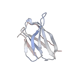 15476_8ajb_E_v1-0
Cryo-EM structure of crescentin filaments (stutter mutant, C2 symmetry and large box)