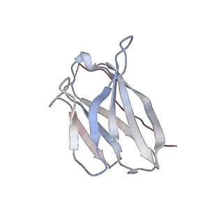 15476_8ajb_E_v1-1
Cryo-EM structure of crescentin filaments (stutter mutant, C2 symmetry and large box)