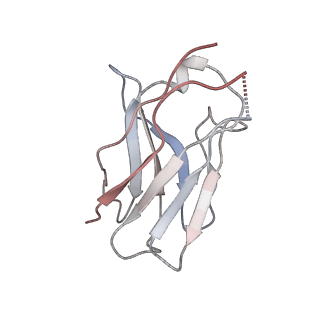 15476_8ajb_F_v1-0
Cryo-EM structure of crescentin filaments (stutter mutant, C2 symmetry and large box)