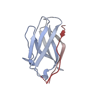 15476_8ajb_K_v1-0
Cryo-EM structure of crescentin filaments (stutter mutant, C2 symmetry and large box)