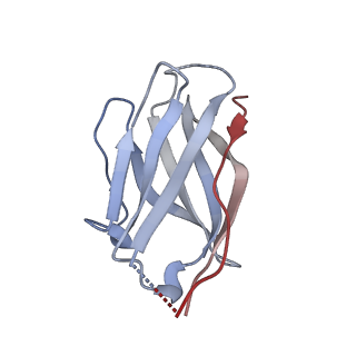 15476_8ajb_K_v1-1
Cryo-EM structure of crescentin filaments (stutter mutant, C2 symmetry and large box)