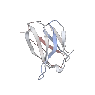15476_8ajb_Q_v1-0
Cryo-EM structure of crescentin filaments (stutter mutant, C2 symmetry and large box)