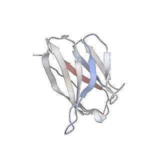 15476_8ajb_Q_v1-1
Cryo-EM structure of crescentin filaments (stutter mutant, C2 symmetry and large box)