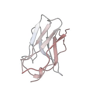 15476_8ajb_R_v1-0
Cryo-EM structure of crescentin filaments (stutter mutant, C2 symmetry and large box)