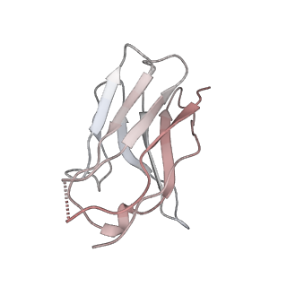 15476_8ajb_R_v1-1
Cryo-EM structure of crescentin filaments (stutter mutant, C2 symmetry and large box)