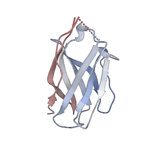 15476_8ajb_W_v1-0
Cryo-EM structure of crescentin filaments (stutter mutant, C2 symmetry and large box)