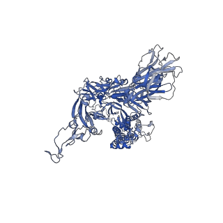 15482_8ajl_C_v1-2
Structure of the Ancestral Scaffold Antigen-6 of Coronavirus Spike protein