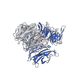 15484_8ajm_A_v1-1
Structure of human DDB1-DCAF12 in complex with the C-terminus of CCT5