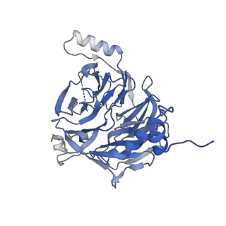 15484_8ajm_B_v1-1
Structure of human DDB1-DCAF12 in complex with the C-terminus of CCT5