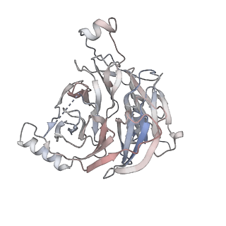15485_8ajn_B_v1-2
Structure of the human DDB1-DCAF12 complex