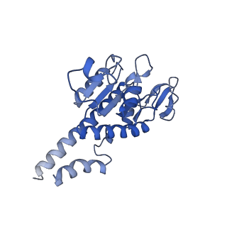 2913_5aj3_B_v1-1
Structure of the small subunit of the mammalian mitoribosome