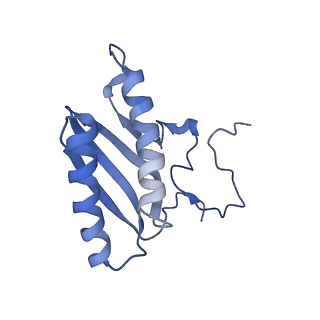 2913_5aj3_C_v1-1
Structure of the small subunit of the mammalian mitoribosome