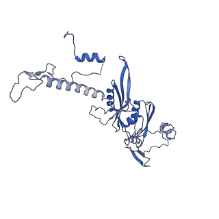 2913_5aj3_E_v1-1
Structure of the small subunit of the mammalian mitoribosome