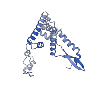 2913_5aj3_G_v1-1
Structure of the small subunit of the mammalian mitoribosome