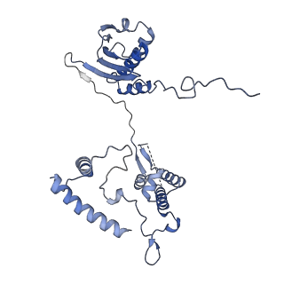 2913_5aj3_I_v1-1
Structure of the small subunit of the mammalian mitoribosome