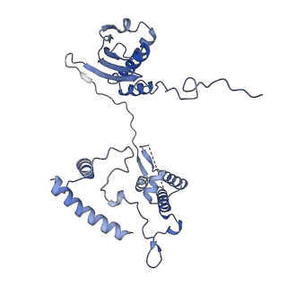 2913_5aj3_I_v2-2
Structure of the small subunit of the mammalian mitoribosome