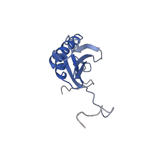 2913_5aj3_K_v1-1
Structure of the small subunit of the mammalian mitoribosome