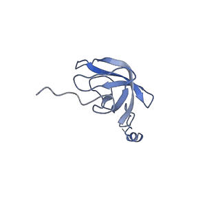 2913_5aj3_L_v1-1
Structure of the small subunit of the mammalian mitoribosome