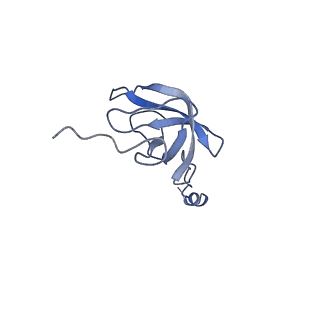 2913_5aj3_L_v2-2
Structure of the small subunit of the mammalian mitoribosome