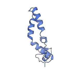 2913_5aj3_N_v1-1
Structure of the small subunit of the mammalian mitoribosome