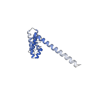 2913_5aj3_O_v1-1
Structure of the small subunit of the mammalian mitoribosome