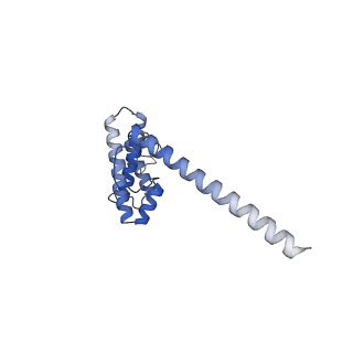2913_5aj3_O_v2-2
Structure of the small subunit of the mammalian mitoribosome
