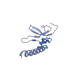 2913_5aj3_P_v1-1
Structure of the small subunit of the mammalian mitoribosome