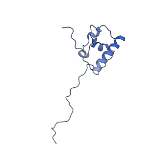 2913_5aj3_R_v1-1
Structure of the small subunit of the mammalian mitoribosome