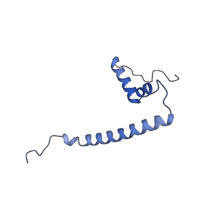 2913_5aj3_U_v1-1
Structure of the small subunit of the mammalian mitoribosome