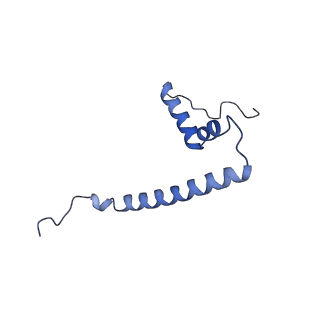 2913_5aj3_U_v2-2
Structure of the small subunit of the mammalian mitoribosome