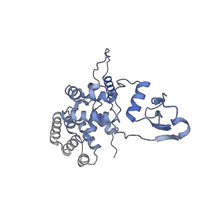 2913_5aj3_a_v1-1
Structure of the small subunit of the mammalian mitoribosome