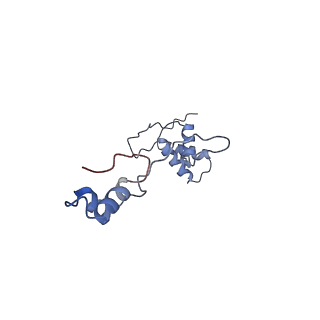 2913_5aj3_b_v1-1
Structure of the small subunit of the mammalian mitoribosome