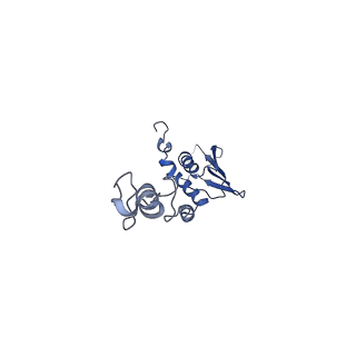 2913_5aj3_c_v1-1
Structure of the small subunit of the mammalian mitoribosome