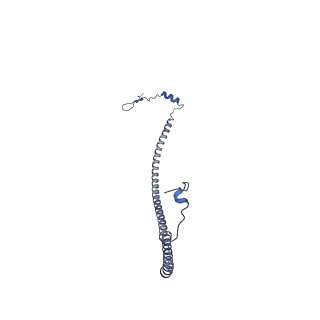 2913_5aj3_d_v1-1
Structure of the small subunit of the mammalian mitoribosome