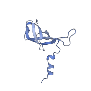 2913_5aj3_f_v1-1
Structure of the small subunit of the mammalian mitoribosome