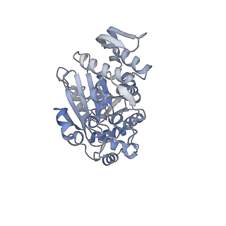 2913_5aj3_g_v1-1
Structure of the small subunit of the mammalian mitoribosome