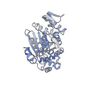 2913_5aj3_g_v2-2
Structure of the small subunit of the mammalian mitoribosome