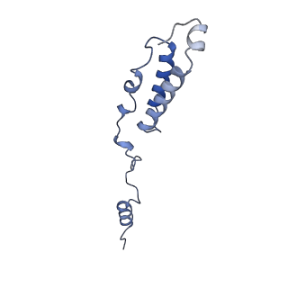 2913_5aj3_h_v1-1
Structure of the small subunit of the mammalian mitoribosome